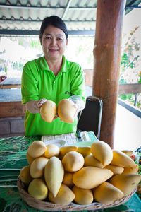 Fruit-tours-in-the-orchards-of-Rayong-05-300x450