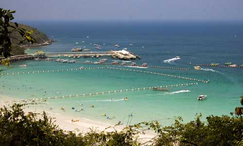Jellyfish warning for travellers swimming in Thailand