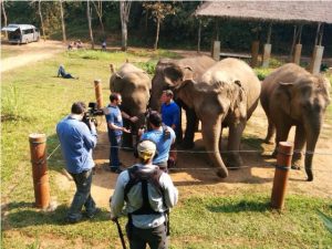 Jeff Corwin at Anantara Elephant Camp - Chiang Rai - Copy