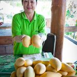 Thainess you can taste – Fruit tours in the orchards of Rayong