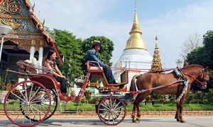 horse-drawn-carriage,-Lampang-500x300