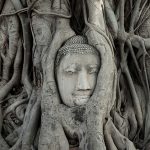The elegantly caved Buddha head at Wat Maha That
