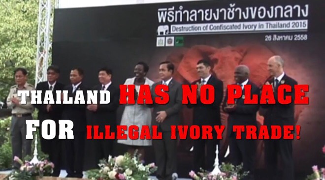 Thailand continuing efforts to end illegal ivory trade