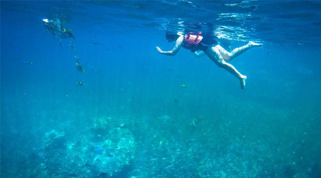 Diving and Snorkelling in Thailand, Made Easy