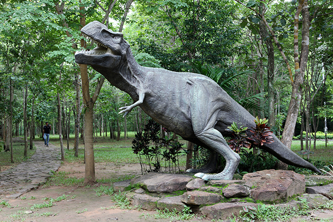 Phu Faek Forest Park, Kalasin