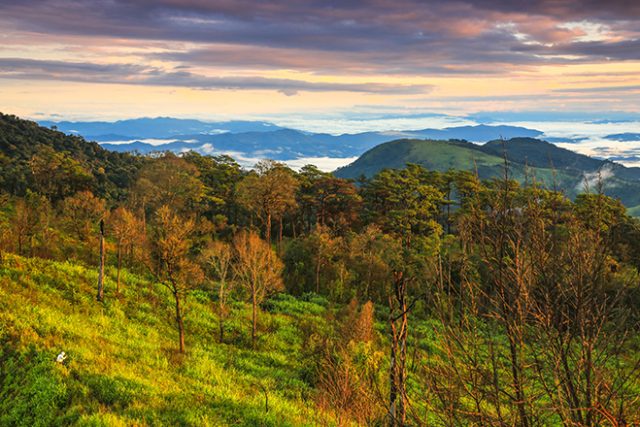 Thailand’s national park system starts annual seasonal closure of ...