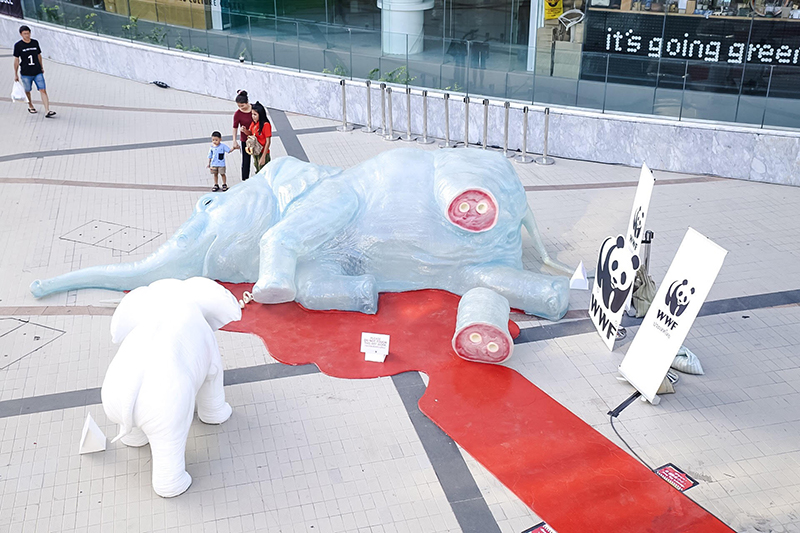 WWF-Thailand launches “Travel Ivory Free” campaign