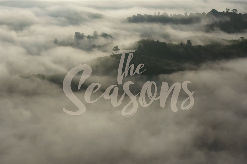 TAT Newsroom unveils new travel documentary series The Seasons