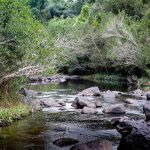 Escape to nature in Nakhon Nayok