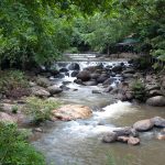 Escape to nature in Nakhon Nayok
