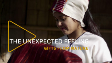 The Unexpected Feeling Episode 2: Gift from Nature