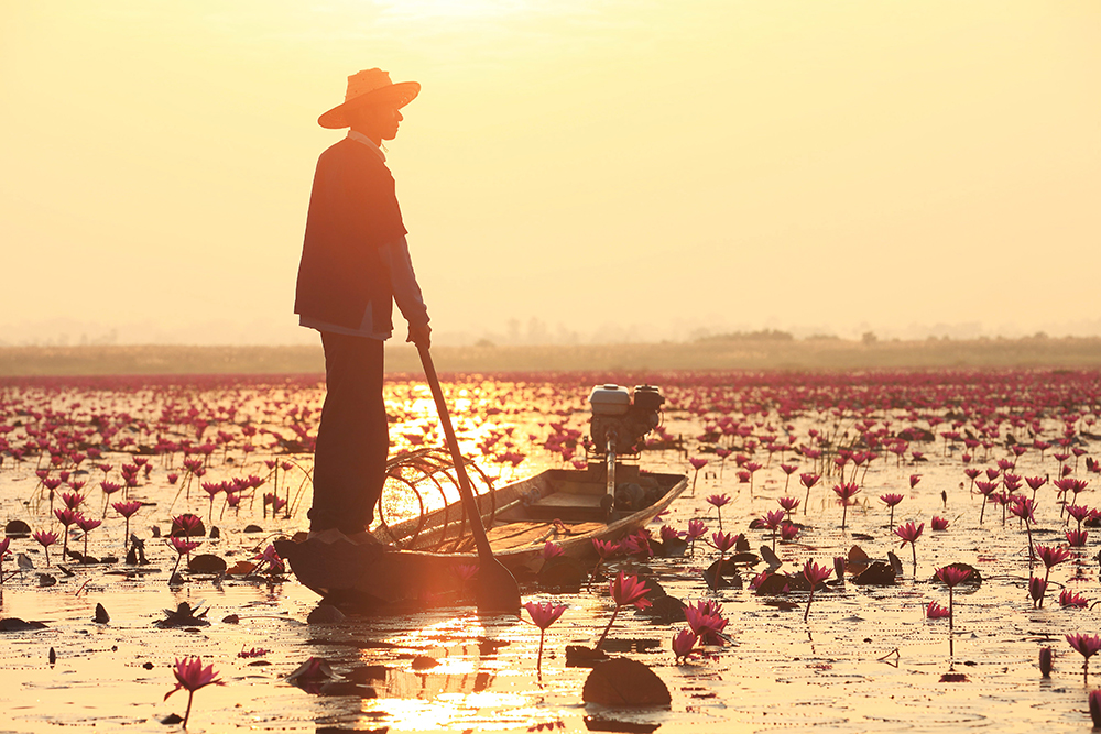 TAT invites all to Udon Thani's ‘Pink Water Lilies Lake’ experience