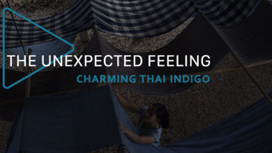 The Unexpected Feeling Episode 7: Charming Thai Indigo