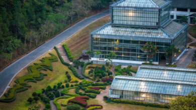 Majestic Queen Sirikit Botanic Garden in Chiang Mai open FREE on Mother's Day, 12 August