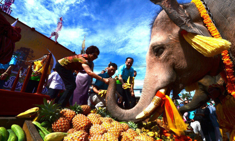Thailand’s renowned “Surin Elephant Round-up” set for weekend of 21-22 November 2020