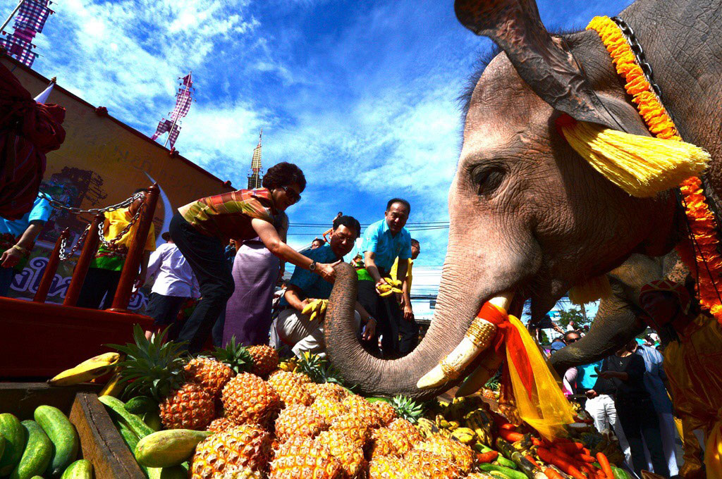 Thailand’s renowned “Surin Elephant Round-up” set for weekend of 21-22 November 2020