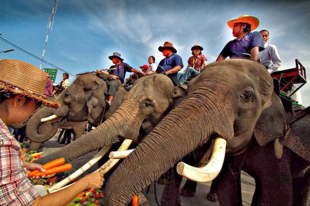 Thailand’s renowned “Surin Elephant Round-up” set for weekend of 21-22 November 2020