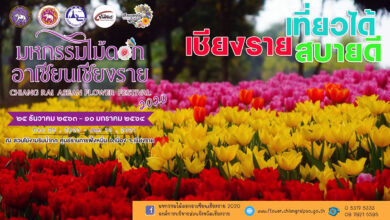 Chiang Rai ASEAN Flower Festival 2020 is a blooming sight to see