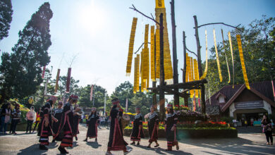 ‘Colours of Doi Tung’ Festival returns in its 7th year this December & January