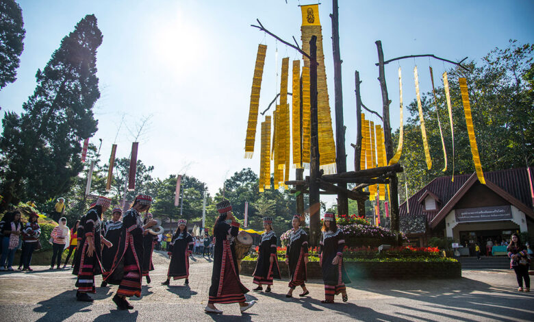 ‘Colours of Doi Tung’ Festival returns in its 7th year this December & January