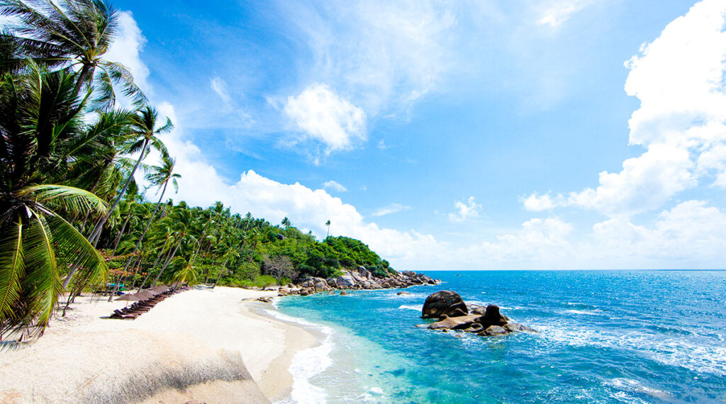 Catch the weekday group discount on ferry travel to Ko Samui, Ko Tao, and Ko Phangan