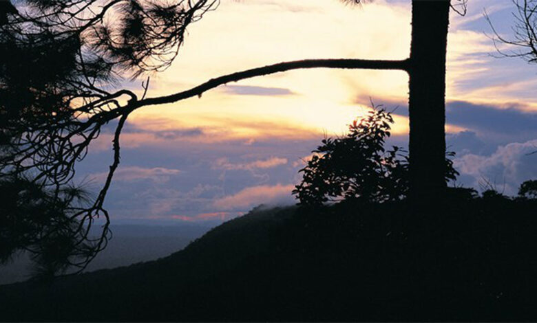Loei’s natural attractions are a popular drawcard during the cooler months