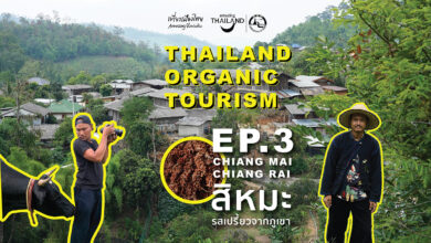 Thailand Organic Tourism EP3: CHIANG MAI
