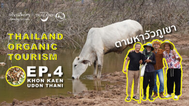 Thailand Organic Tourism Ep 4: KHON KAEN and UDON THANI