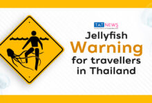 Jellyfish warning: First Aid treatment for jellyfish stings