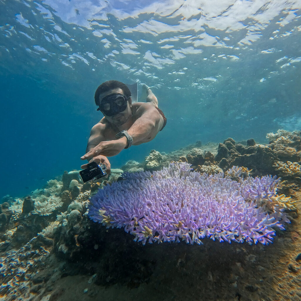 TAT and GoPro unite for World Ocean Day 2024