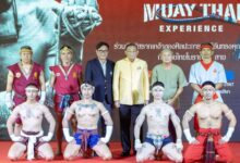 Amazing Muay Thai Experience continues to showcase legendary Thai martial art