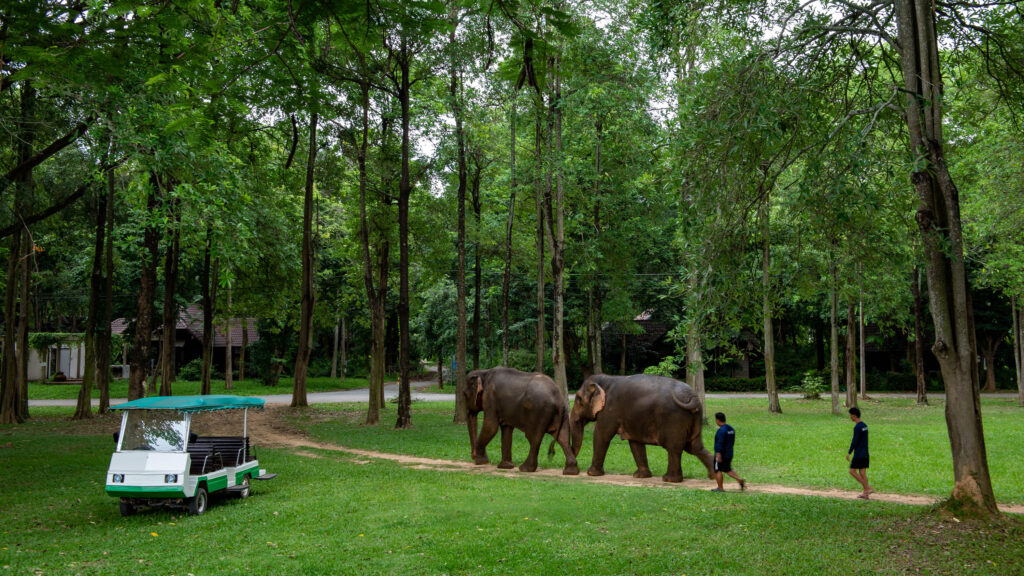 The Legacy River Kwai: Sustainable riverside camping