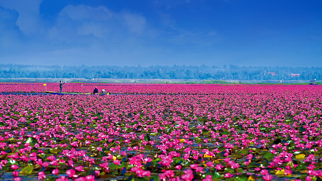 Phu Phrabat's UNESCO World Heritage status elevates Thailand's cultural tourism experiences