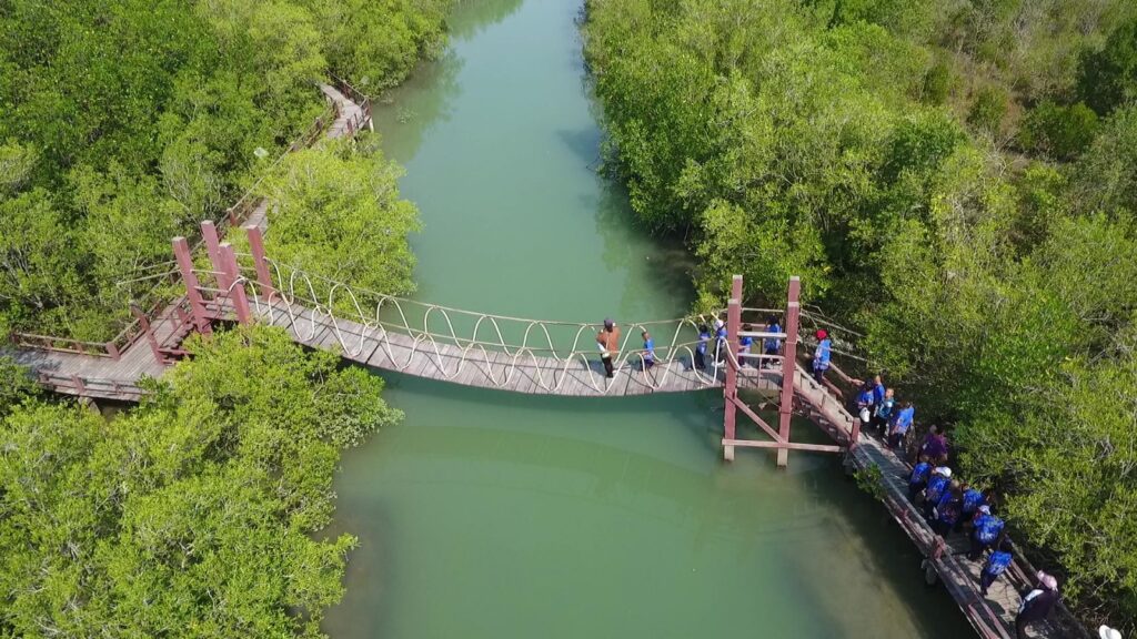 Explore sustainable tourism initiatives at The Sirindhorn International Environmental Park