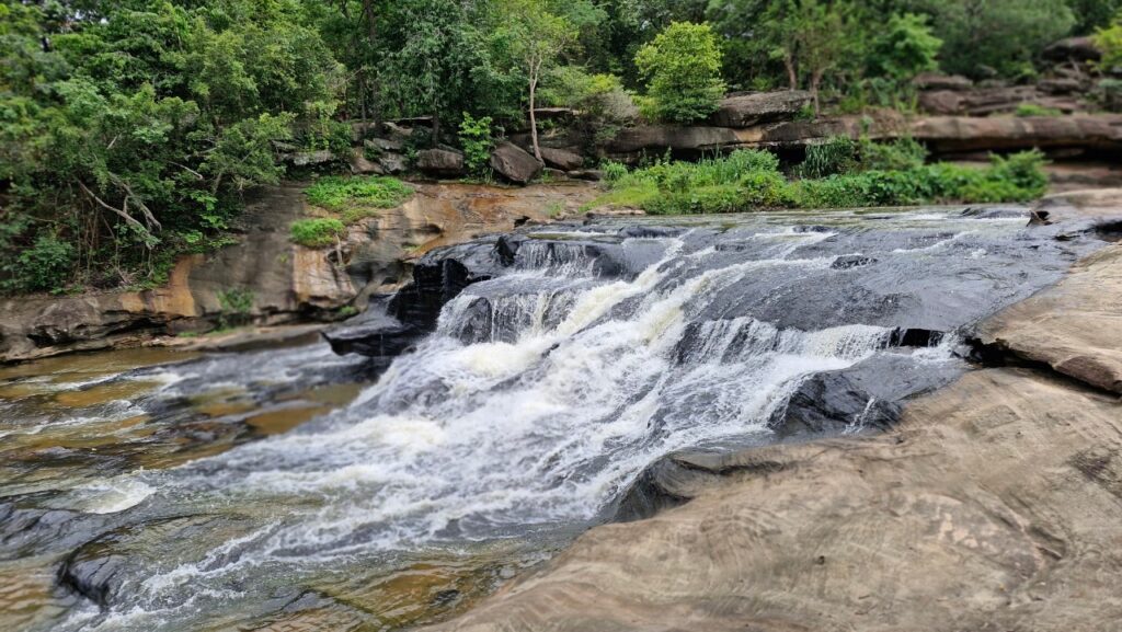 Exploring Surin and Si Sa Ket: Thailand's Cultural and Natural Wonders