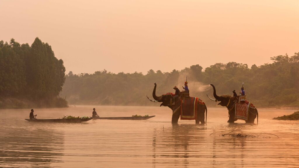 Surin-Elephant Kingdom-Chi River