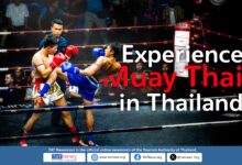 Want to see a kneefight, elbowfight, or footfight? Muay Thai serves up excitement as the ultimate contact sport.